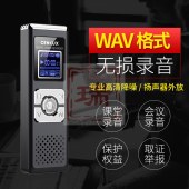 声力士（Cenlux） U50-8G 录音笔 降噪高清微型远距离录音器 学习采访会议超长待机声控录音笔 灰色-8G