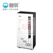 碧丽 商用反渗透纯净水机 商用饮水器净水器RO-800B (订货需5-10天）