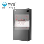 碧丽 商用开水器KL100B-RO 多人饮水机  2开水一纯水   9KW(订货周期5-10天）