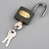 赛拓（SANTO) 铁挂锁0074柜门锁防盗窗锁 水电表箱锁 通开锁 40mm