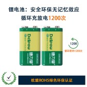 德力普（Delipow） 9V充电电池 9V锂电池充电套装 550mAh大容量6F22万用表麦克风 2槽充电器+4节电池