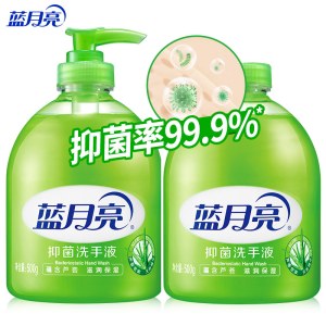 （对装）蓝月亮 芦荟抑菌 滋润保湿洗手液 500g瓶+500g瓶装补充装 有效抑菌99.9% 保持双手清洁