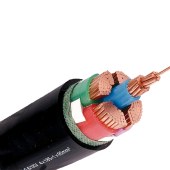泰通 YJV5*4电缆 1米