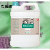 次氯酸 酸性氧化电位水消毒液 5L