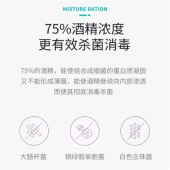 惠佰利 75% 酒精消毒湿巾 除菌 方便便携独立包装 60片装