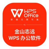 金山志远 V11 WPS办公软件V11（三年）