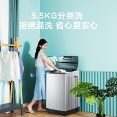 美的（Midea）MB55V35E 波轮洗衣机全自动 自动洗衣机 55V35  5.5公斤
