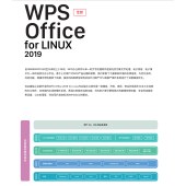 金山 WPS Linux专业版 V11 三年