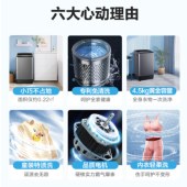 美的（Midea）45V22 波轮洗衣机全自动  4.5公斤洗衣机 带脱水风干