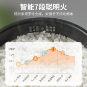 苏泊尔  40FC776  4L蓝钻球釜电饭煲可添加记忆功能8大菜单智能电饭锅