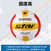世达（star）VB4025-34 软式硬排  比赛训练 标准5号 耐磨PU 排球