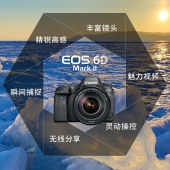 佳能（Canon）EOS 6D Mark II 6D2全画幅 EF100mmf/2.8LIS USM微距镜头套装