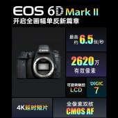 佳能（Canon）EOS 6D Mark II 6D2全画幅 EF100mmf/2.8LIS USM微距镜头套装