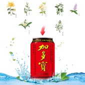 加多宝 凉茶植物饮料 茶饮料 310ml*24罐/箱  (新老包装随机发货) 单位 箱