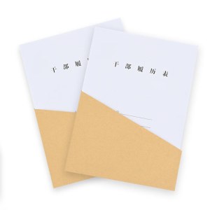 A4三角袋资料袋封套文件袋三角文件袋 100个/包 80克