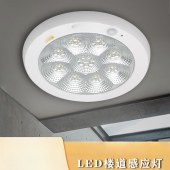 感应灯 12W  梅花LED人体感应吸顶灯 直径约300mm