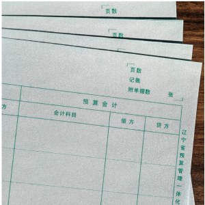 辽宁一体化凭证纸 297*210mm 1包 （单位：包）