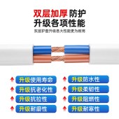 国标电线 线缆白色护套线 软2.5平 2芯  1米 （单位：米）