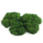 DIY环创用品 仿真丛林苔藓 丝状苔藓浅绿 约500g/组 铺设2cm厚度时 约铺150*240cm