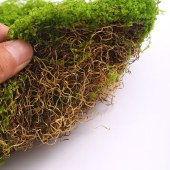 DIY环创用品 仿真丛林苔藓 丝状苔藓浅绿 约500g/组 铺设2cm厚度时 约铺150*240cm