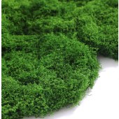 DIY环创用品 仿真丛林苔藓 丝状苔藓浅绿 约500g/组 铺设2cm厚度时 约铺150*240cm