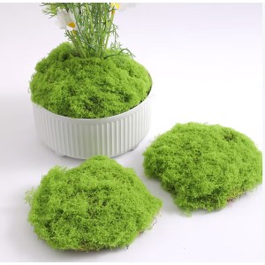 DIY环创用品 仿真丛林苔藓 丝状苔藓浅绿 约500g/组 铺设2cm厚度时 约铺150*240cm