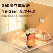 先锋（Singfun）取暖器 电暖器 电暖气片13片全屋速暖电热油汀 静音节能 烘衣加湿DYT-Z2