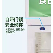 扬子食品留样柜 学校幼儿园公司食堂用水果蔬菜保鲜留样冰箱
