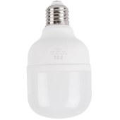 佛山照明 T60柱形 LED球泡节能灯 10W E27螺口 白光