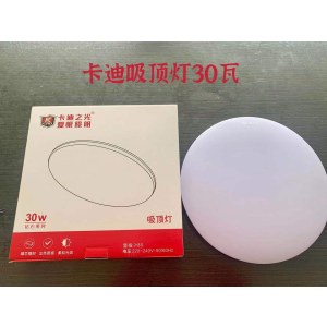 卡迪之光 30w 吸顶灯 白色 直径380mm