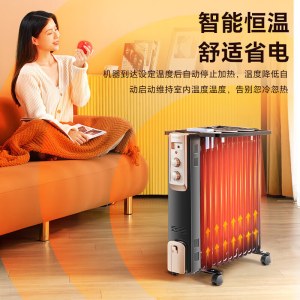 先锋（Singfun）取暖器 电暖器 电暖气片13片全屋速暖电热油汀 静音节能 烘衣加湿DYT-Z2