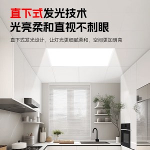 至真Z2 超薄平板灯 300*300 25W