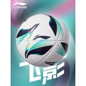 李宁 LFDV200 足球 5号 考试专用成人专业训练标准足球 单位 个