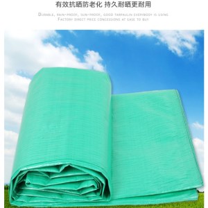 篷布 3*4米 双面防水 双绿色 单位 块