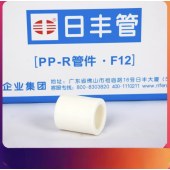 日丰 F12-S20 等径直通20mm（4分）PPR管件水管接头配件