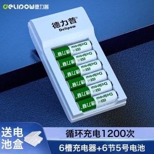 德力普（Delipow）充电电池 5号电池 适用于遥控器/电子秤/电动牙刷/鼠标键盘等 配6节电池 含充电器