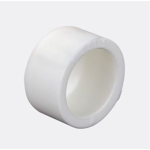 日丰 DN20 PPR堵头 单位 个