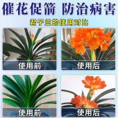 营养催花组合 植物营养液 单位 组