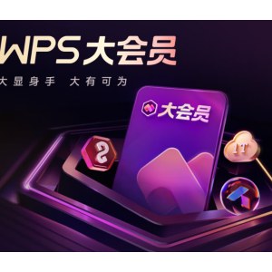 金山 WPS 大会员年卡 1年