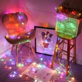 彩灯灯带 七彩100米款 插电款 圆孔接口 需另配插头 七种颜色 单位 捆