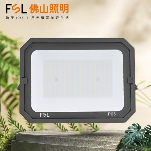 佛山照明 100W IP65 防水 268*198mm LED投光灯 6500K 白光 户外防水泛光灯 单位 个