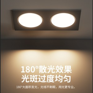 室内照明灯具  斗胆格栅灯 黑色 面径235*130  开孔210*95