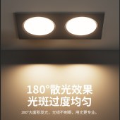 室内照明灯具  斗胆格栅灯 黑色 面径235*130  开孔210*95