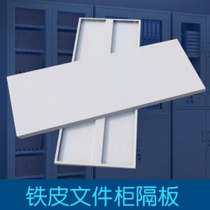 天光 895*353mm 钢制隔板  冷轧钢板 图片色 （单位：个）